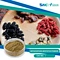 Natural Orthosiphon Aristatus/ Orthosiphon Stamineus 10: 1 Extract Powder
